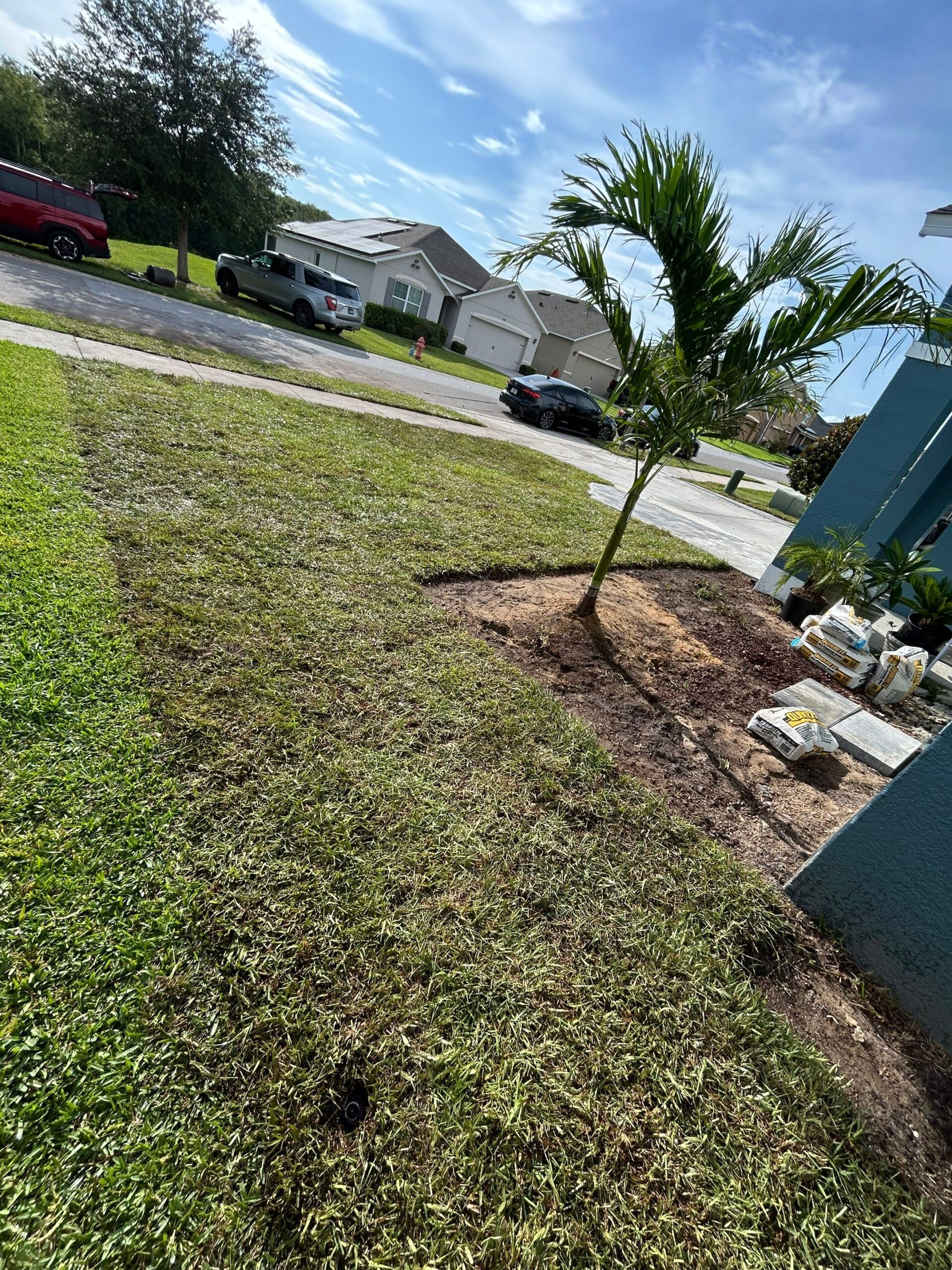 Fresh sod installation